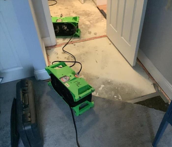 SERVPRO of Jackson: Water Drying Process