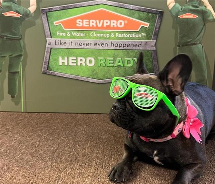 Kora wearing her SERVPRO of Jackson/Lacey sunglasses